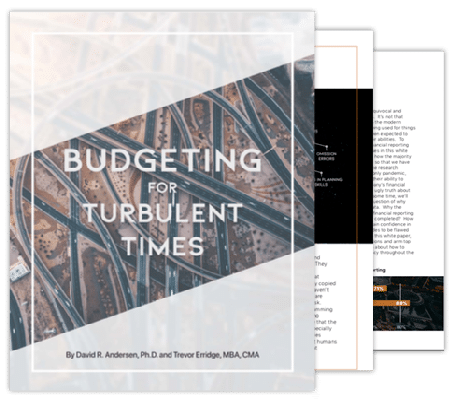 Budget Turbulent Times Cover